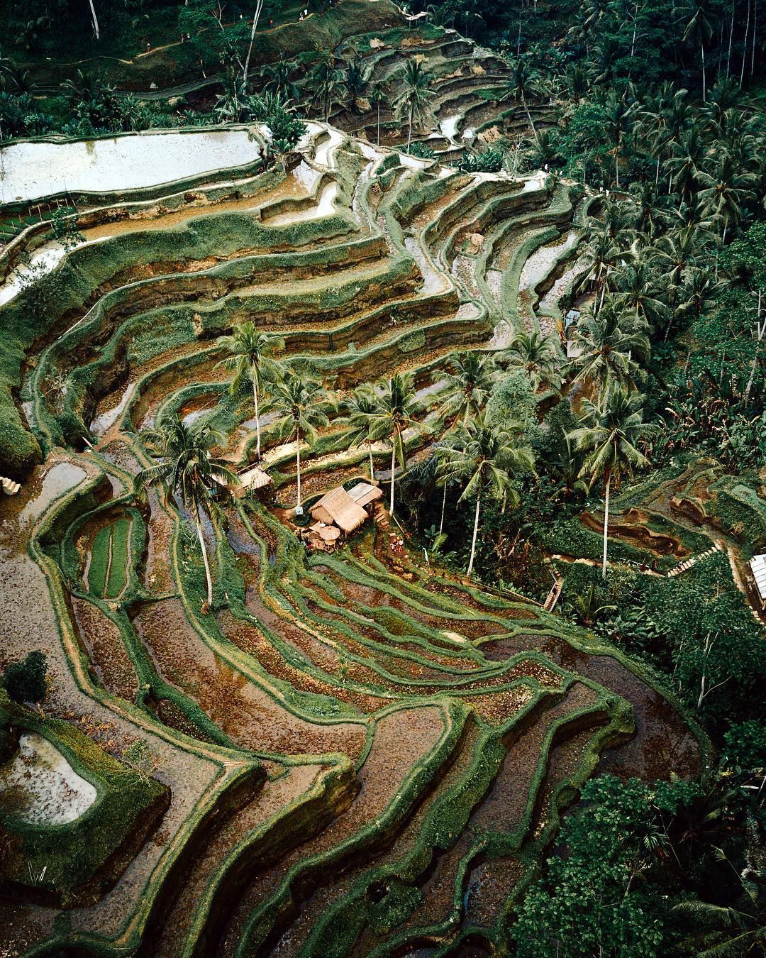 Неймовірні подорожі Ллойда Еванса, від яких перехоплює подих