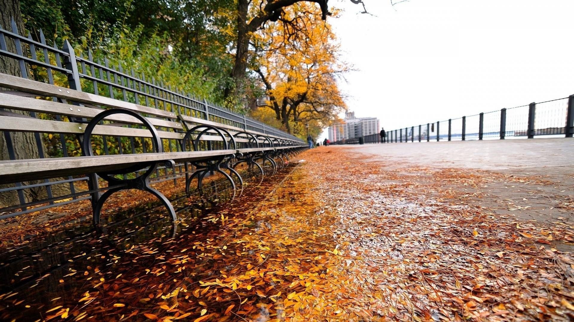 Найтепліше буде на сході країни, але не скрізь - фото 1