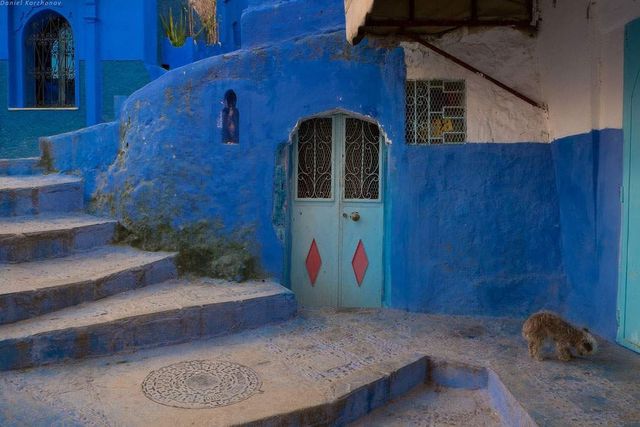 Так виглядає дивовижне синє місто в Марокко- фото 280037