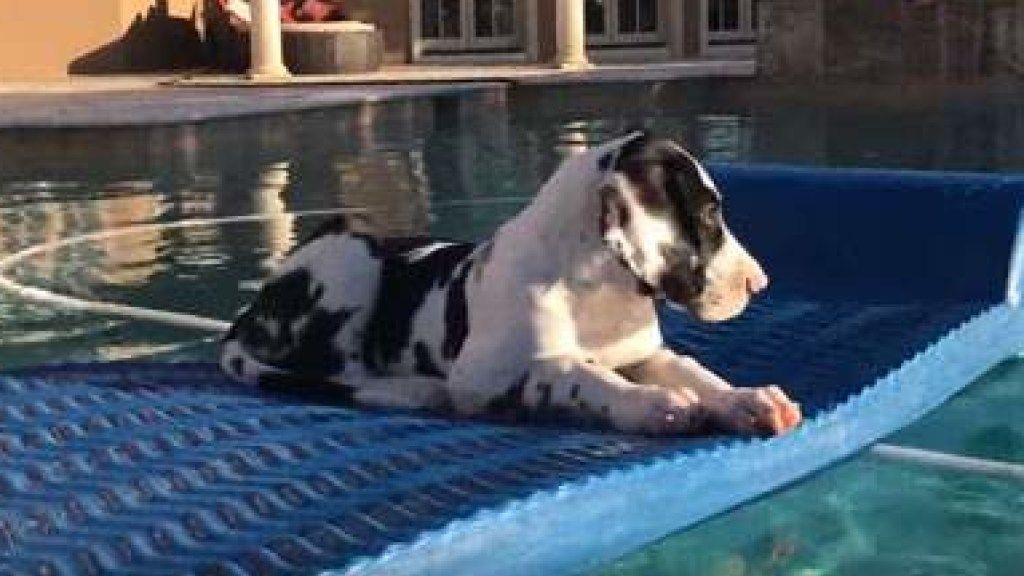 Ось як потрібно відпочивати - фото 1