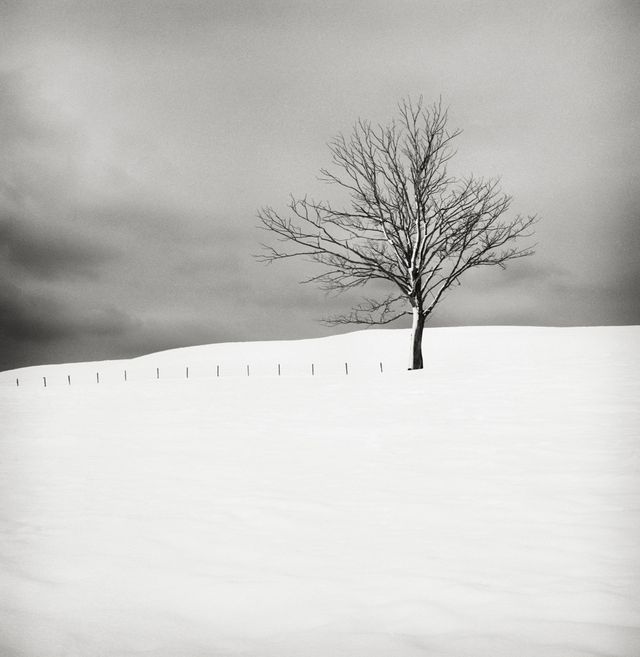 Проект 'Тихі моменти', який змушує затримати погляд - фото 285169