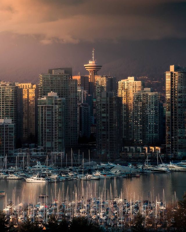 Захопливі пригоди світом в об'єктиві Таля Варді - фото 279753