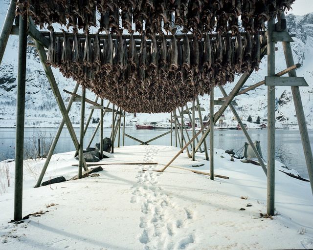 Як живуть рибалки у норвезькому селищі - фото 285097