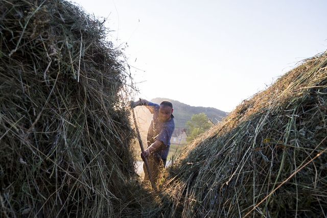 Трансільванія в об'єктиві Аурела Падурару - фото 284196