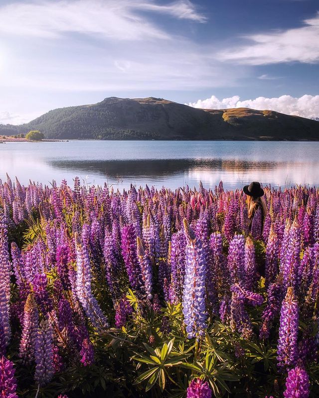 Подорожі в об'єктиві Рейчел Стюарт - фото 282799