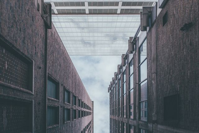 Тиждень життя у Чикаго на вуличних фото - фото 289624