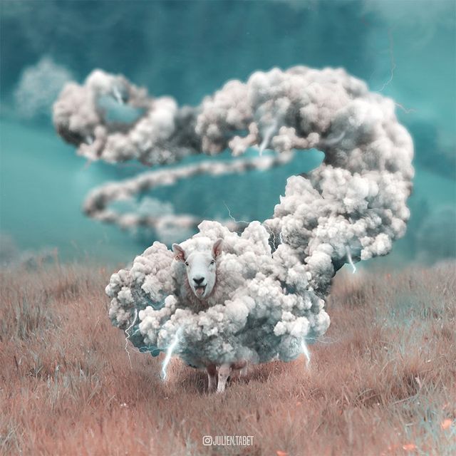 Неймовірні фото тварин, які заворожують - фото 286880