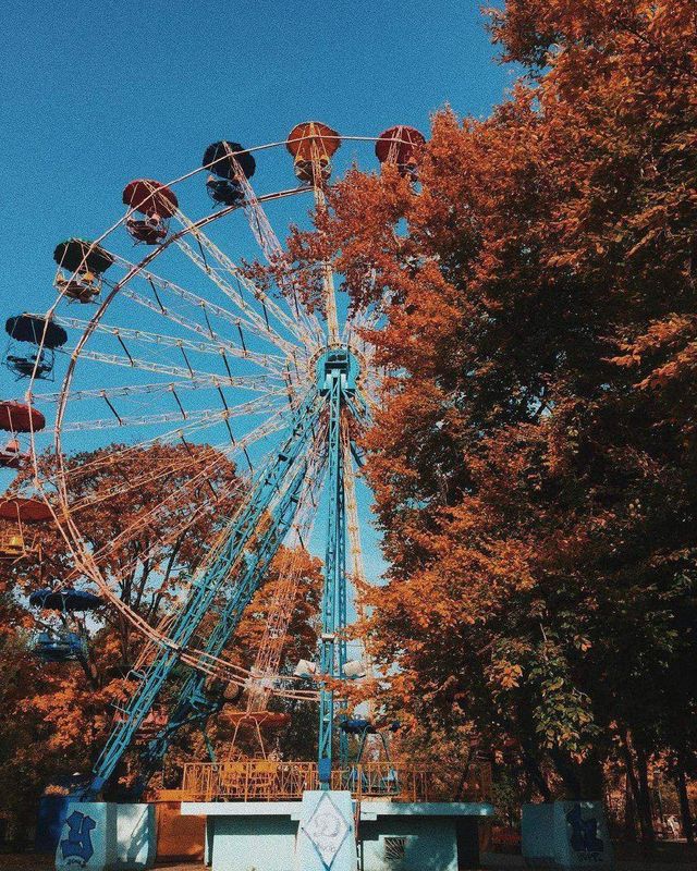 Естетичне задоволення: знімки осіннього Києва - фото 286761