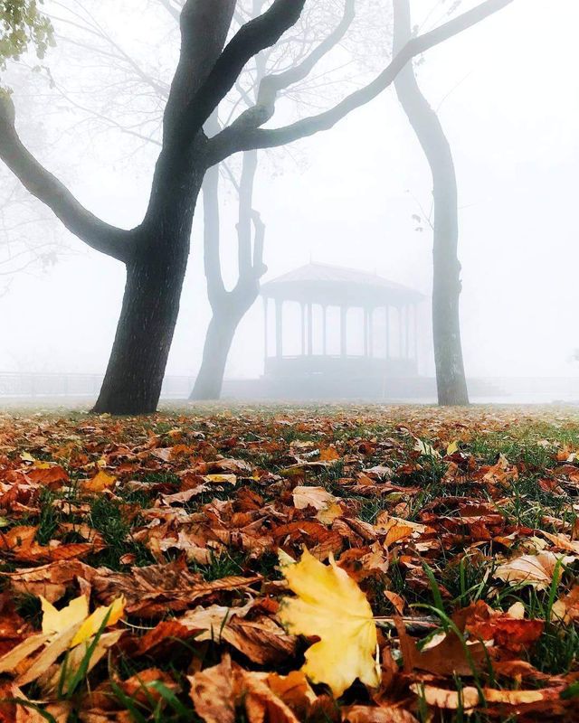 Естетичне задоволення: знімки осіннього Києва - фото 286756