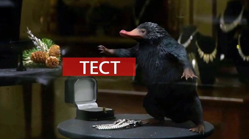 Магічний тест: Яка ти тварина із фільму Фантастичні звірі?