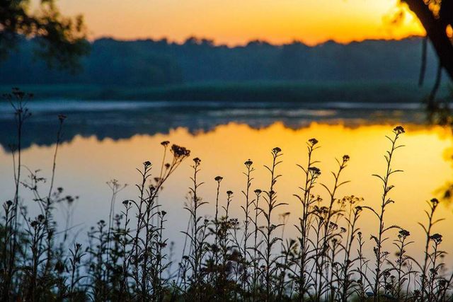 Мальовнича природа Хортиці в яскравих пейзажах - фото 287879