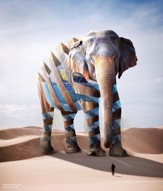 Аде Маолана створює казкові знімки - фото 288818