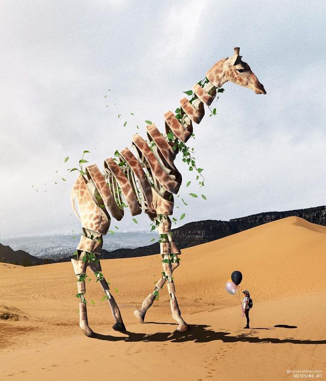 Аде Маолана створює казкові знімки - фото 288828