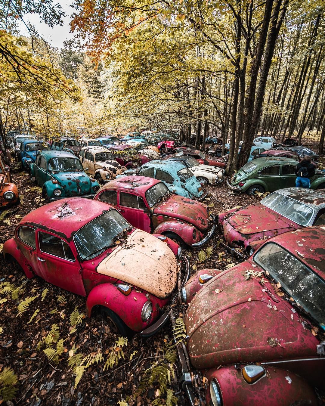 Занедбані куточки США в атмосферних фото