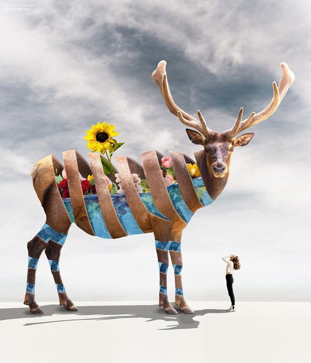 Аде Маолана створює казкові знімки - фото 288822