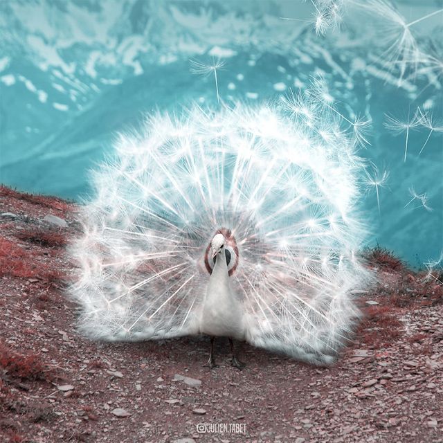 Неймовірні фото тварин, які заворожують - фото 286881