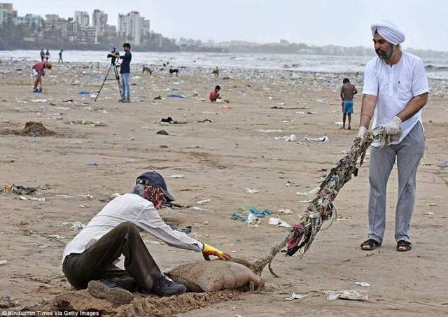 Цей чоловік самотужки очистив цілий пляж від сміття: фото - фото 288372