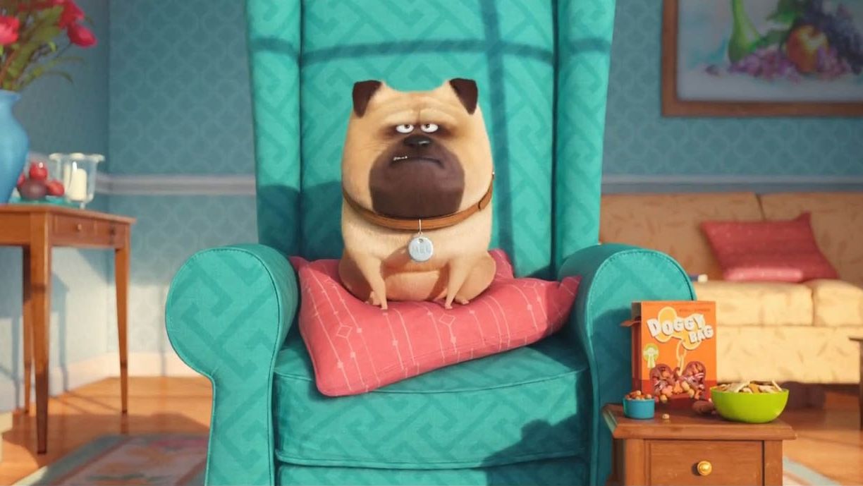 Кадр з мультфільму Секрети домашніх тварин 2 - фото 1