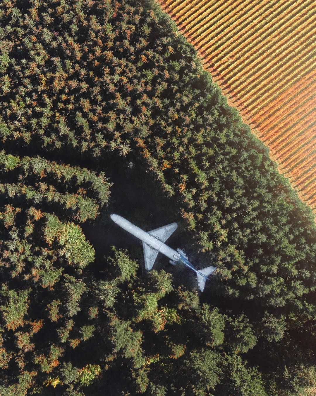 Захопливі подорожі у знімках Джесса Бонде: яскраві кадри