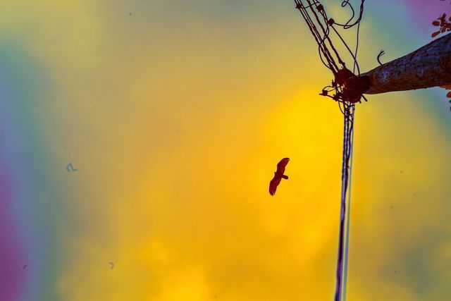Ямайка в інфрачервоних кольорах: вражаючі фото - фото 290236