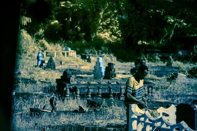 Ямайка в інфрачервоних кольорах: вражаючі фото - фото 290238