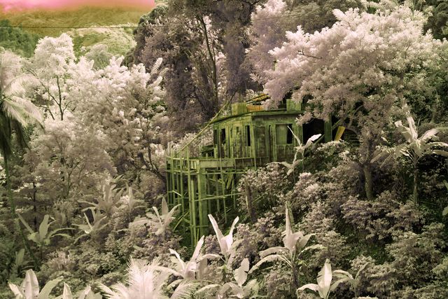 Ямайка в інфрачервоних кольорах: вражаючі фото - фото 290241