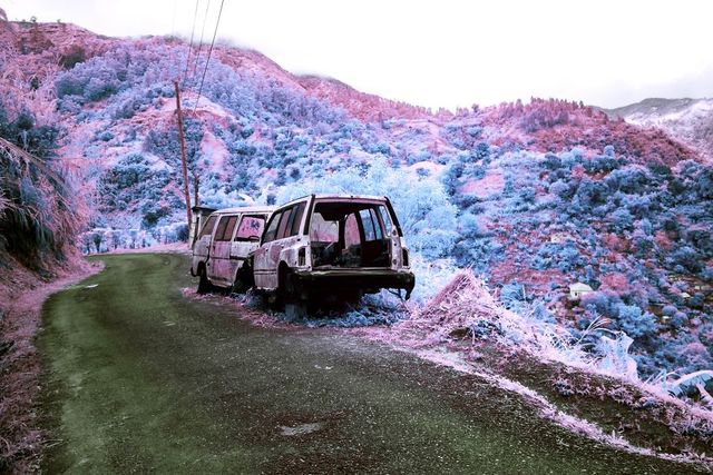 Ямайка в інфрачервоних кольорах: вражаючі фото - фото 290242