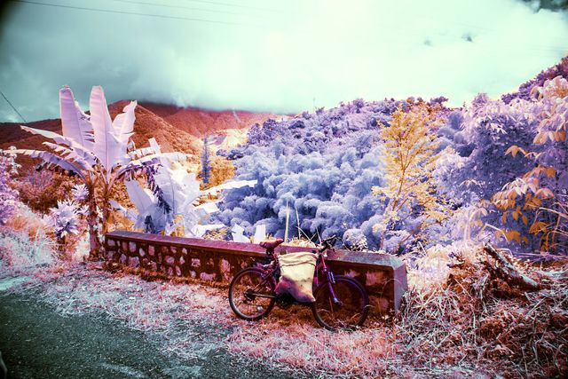 Ямайка в інфрачервоних кольорах: вражаючі фото - фото 290244