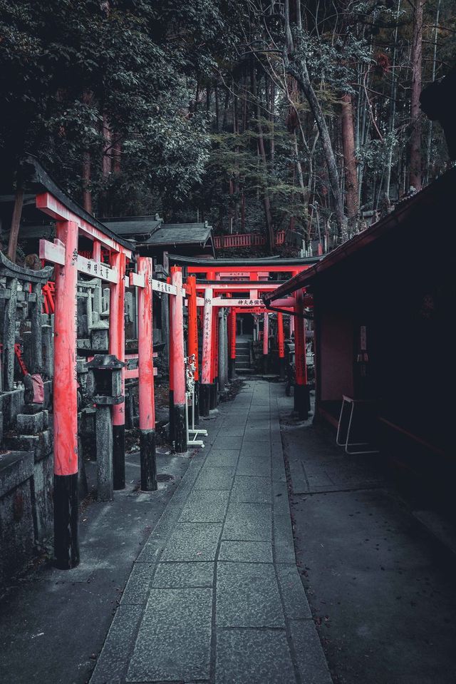 Фотограф показав свої вихідні у Кіото: затишні кадри - фото 290259