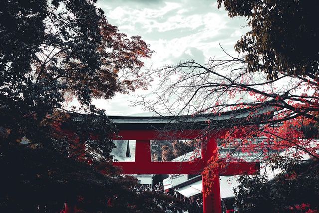 Фотограф показав свої вихідні у Кіото: затишні кадри - фото 290260