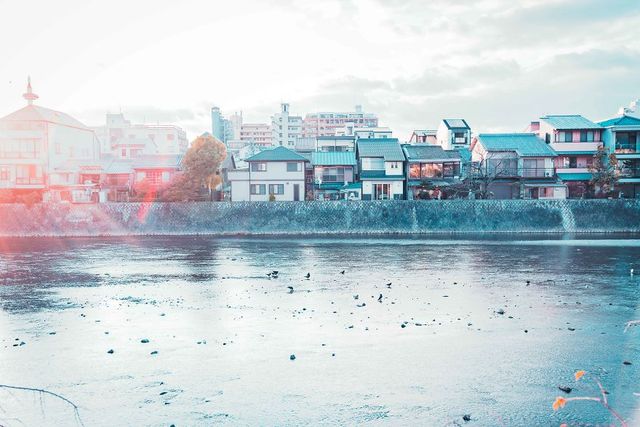 Фотограф показав свої вихідні у Кіото: затишні кадри - фото 290264