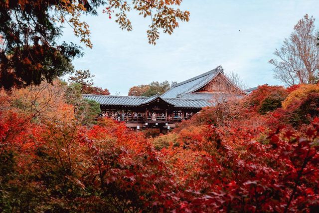 Фотограф показав свої вихідні у Кіото: затишні кадри - фото 290267