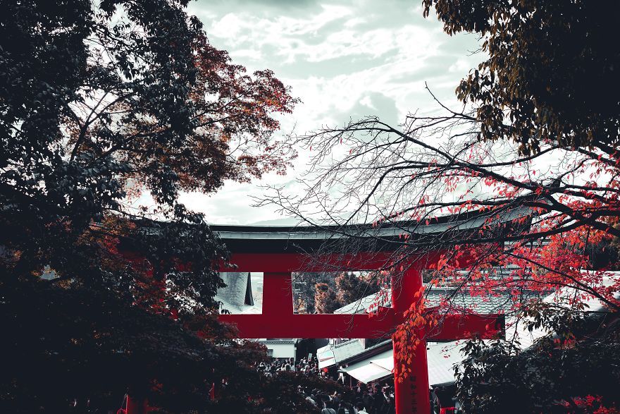 Фотограф показав свої вихідні у Кіото: затишні кадри