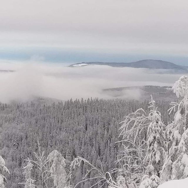Засніжена Україна в чарівних знімках- фото 290301