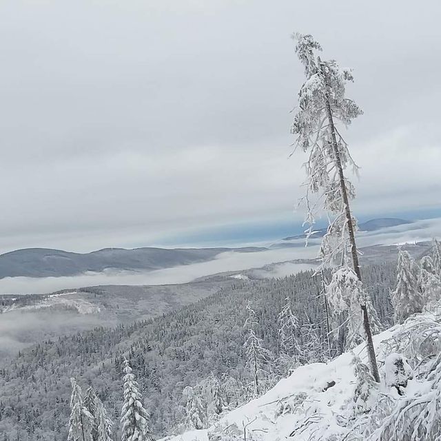 Засніжена Україна в чарівних знімках- фото 290302