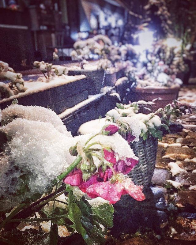 Засніжена Україна в чарівних знімках- фото 290303