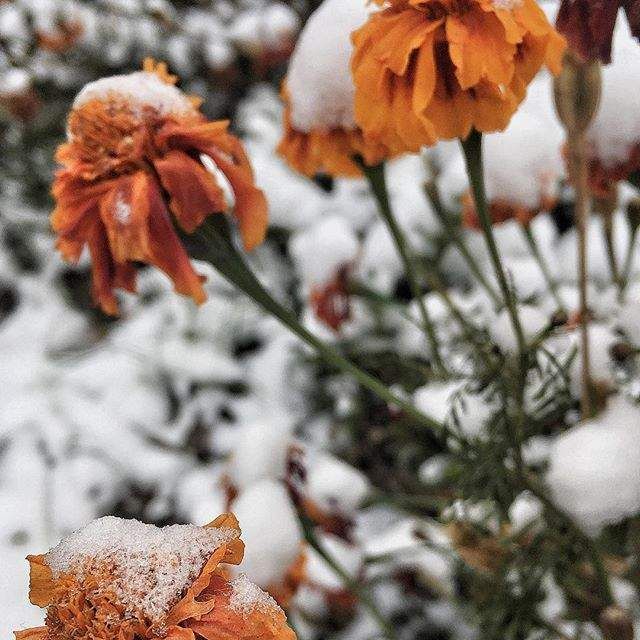Засніжена Україна в чарівних знімках- фото 290305