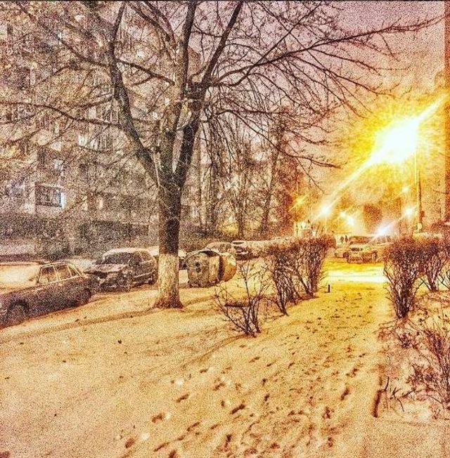 Засніжена Україна в чарівних знімках- фото 290311