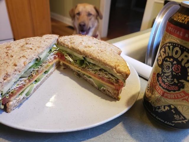 Домашні улюбленці, які заважають їсти: епічні фото - фото 290445