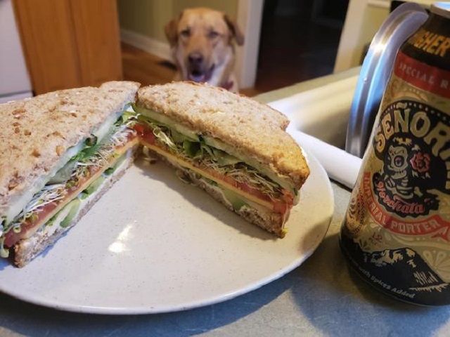 Домашні улюбленці, які заважають їсти: епічні фото