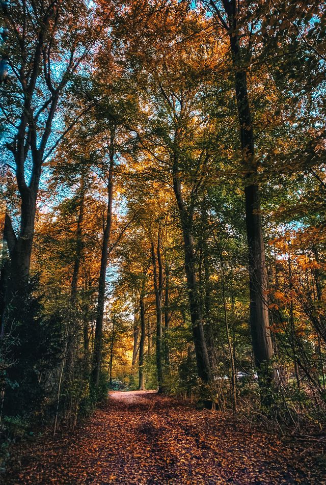 Осінній Амстердам у затишних фото - фото 290538