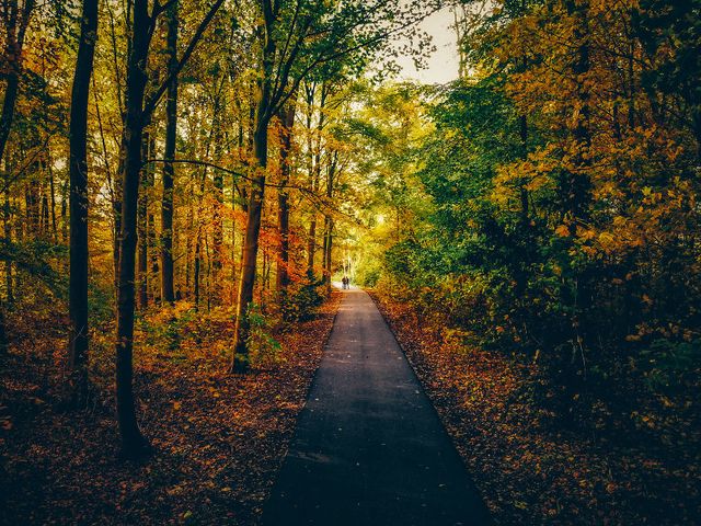 Осінній Амстердам у затишних фото - фото 290540