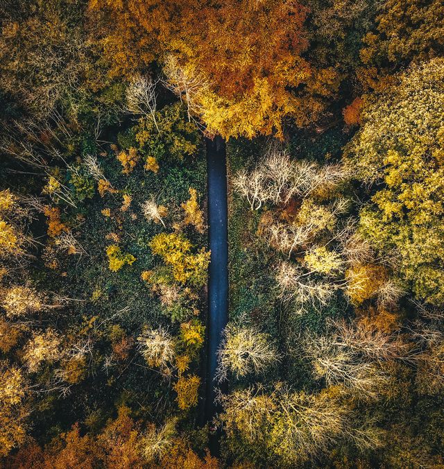 Осінній Амстердам у затишних фото - фото 290541