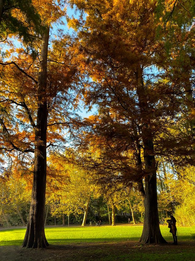 Осінній Амстердам у затишних фото - фото 290542