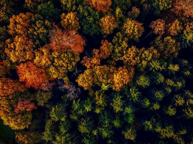 Осінній Амстердам у затишних фото - фото 290543