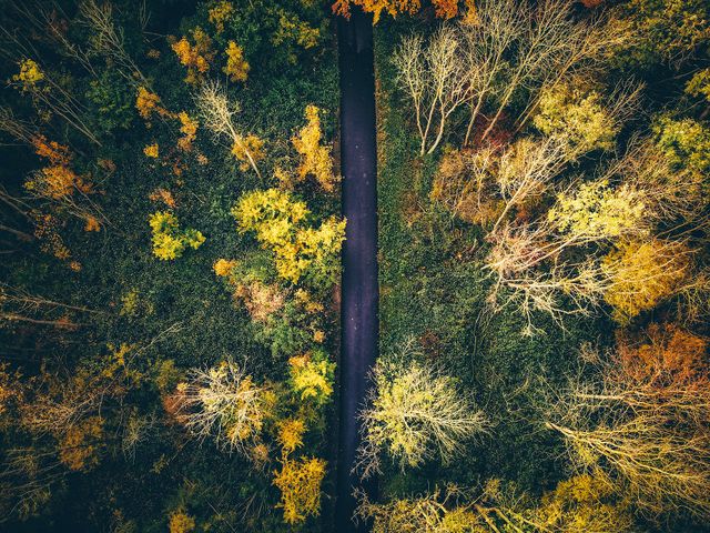 Осінній Амстердам у затишних фото - фото 290545