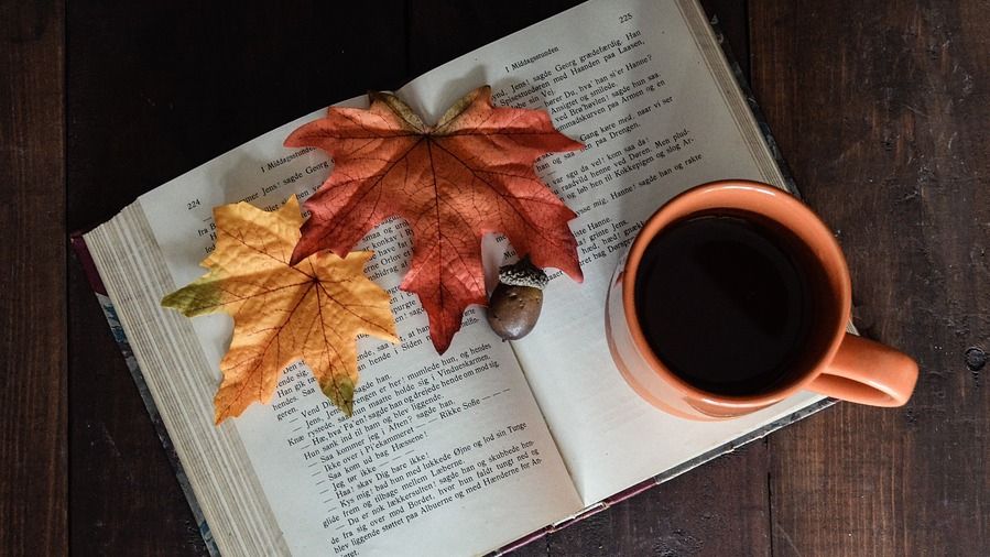 5 книг про круті пригоди, які ви прочитаєте на одному подиху