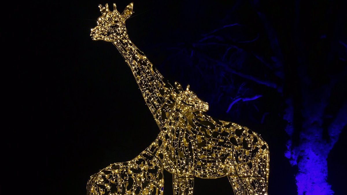 У зоопарку Лондона запалили святкову ілюмінацію: яскраве відео