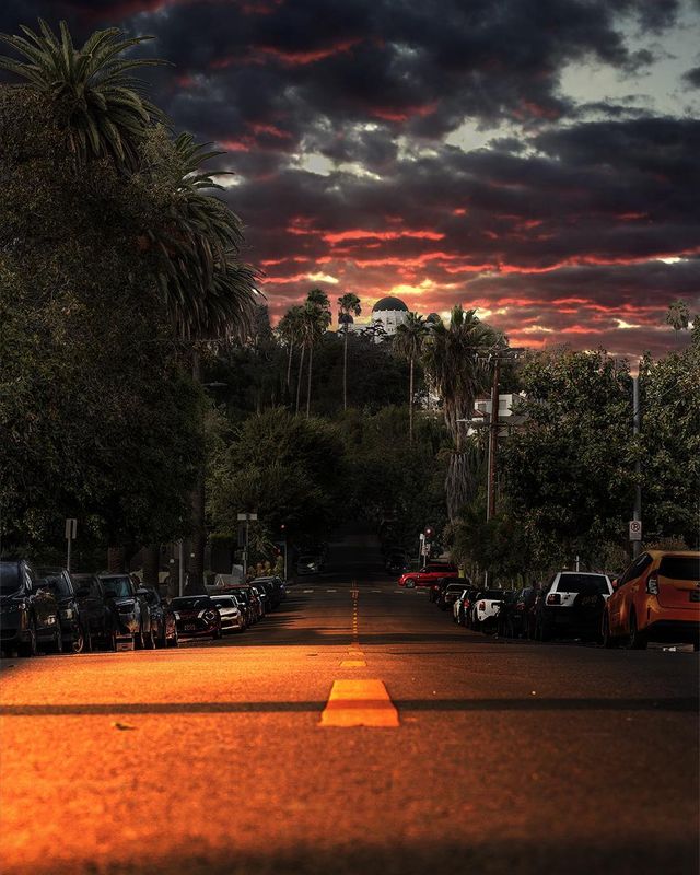 Особлива краса Каліфорнії: сонячні фото - фото 290907