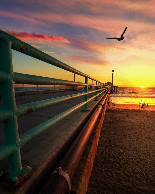 Особлива краса Каліфорнії: сонячні фото - фото 290915